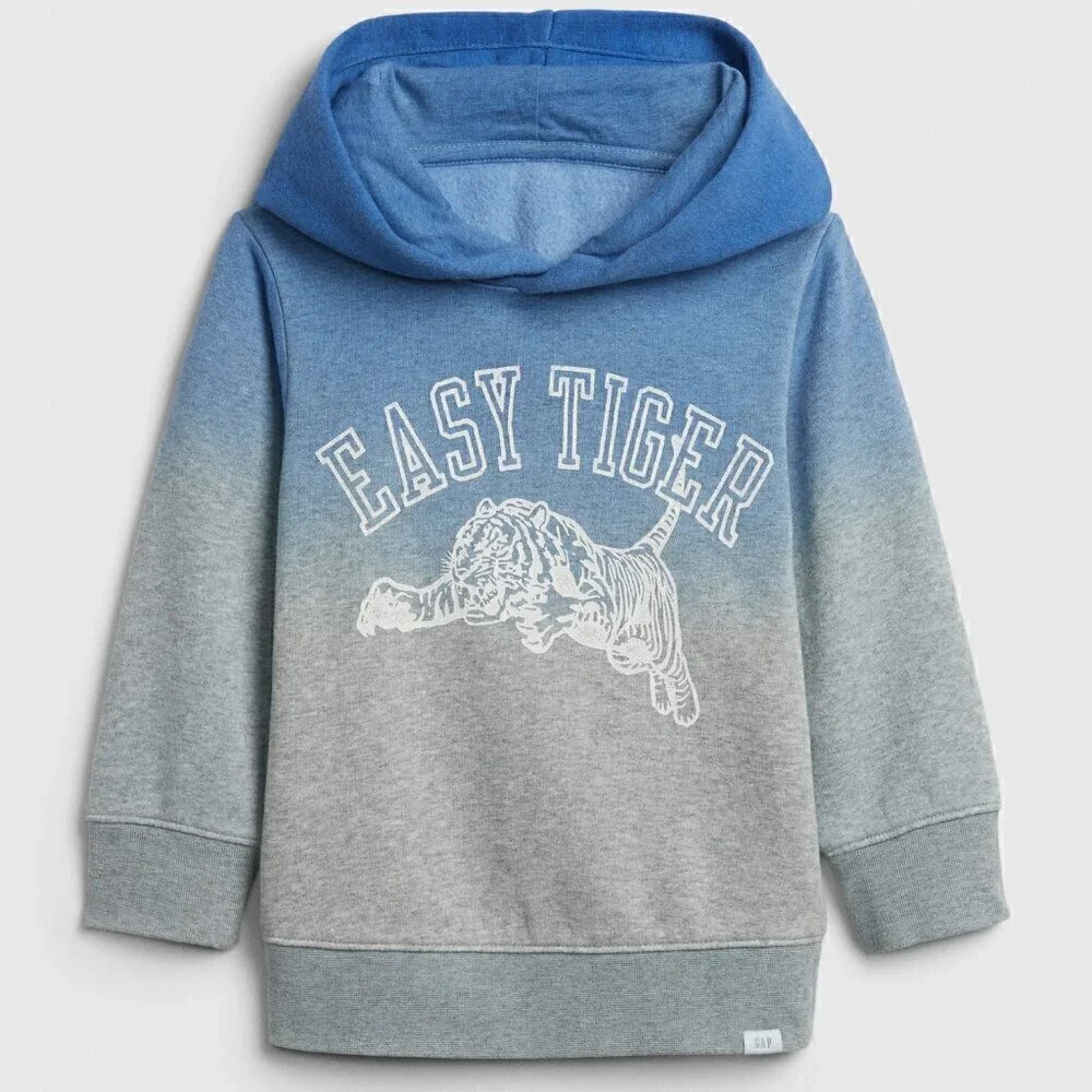 GAP 3T Graphic Ombre Hoodie Sweatshirt Easy Tiger